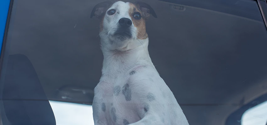 Car Lockout Solutions in Escondido, California